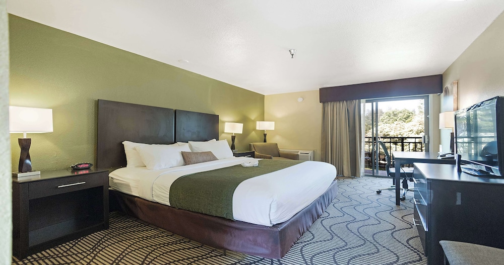 Standard Room, 1 King Bed, Non Smoking, Refrigerator & Microwave - Photo 1