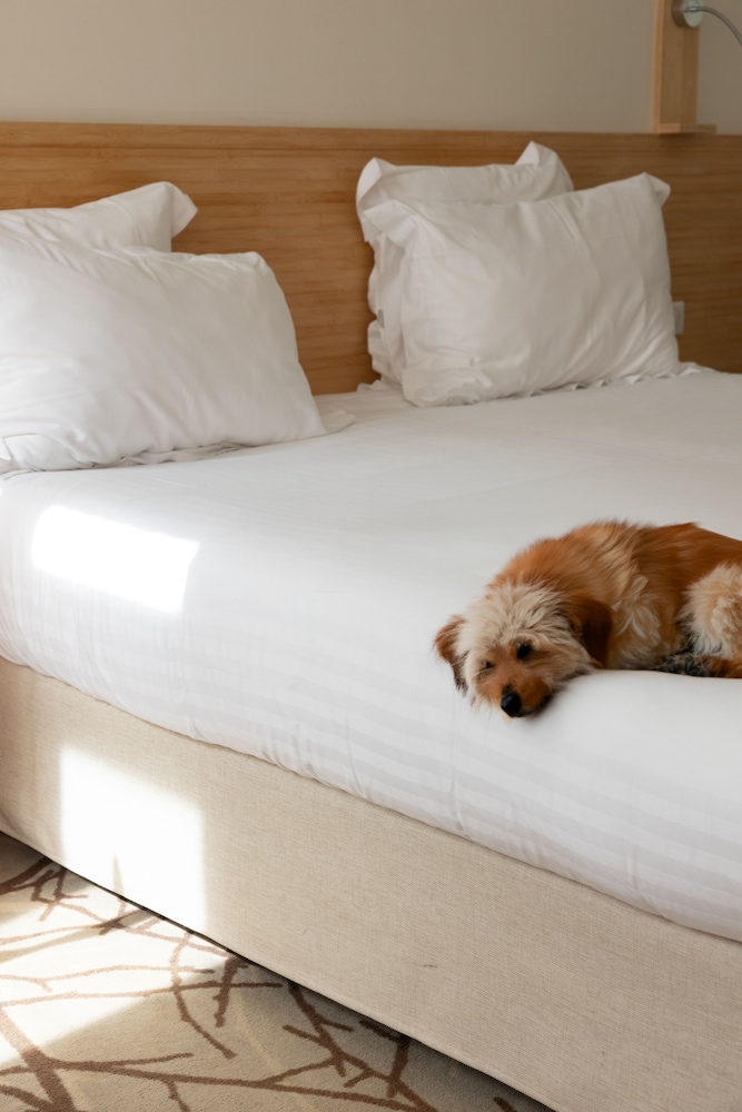 Comfort with 1 double bed, non-smoking - Photo 2