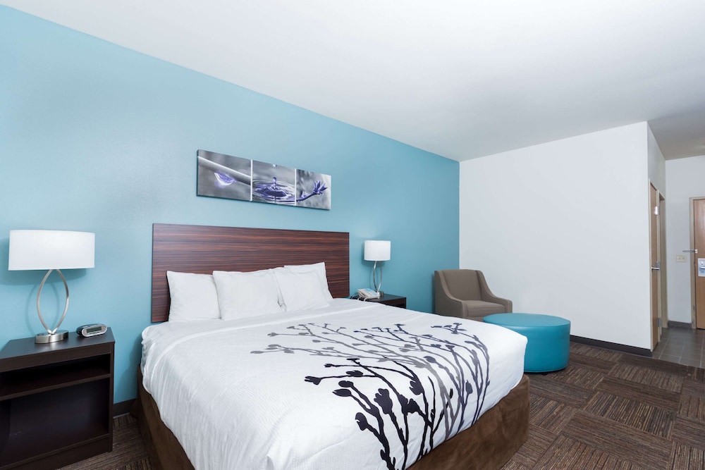 Standard Room, 1 King Bed, Non Smoking - Photo 5