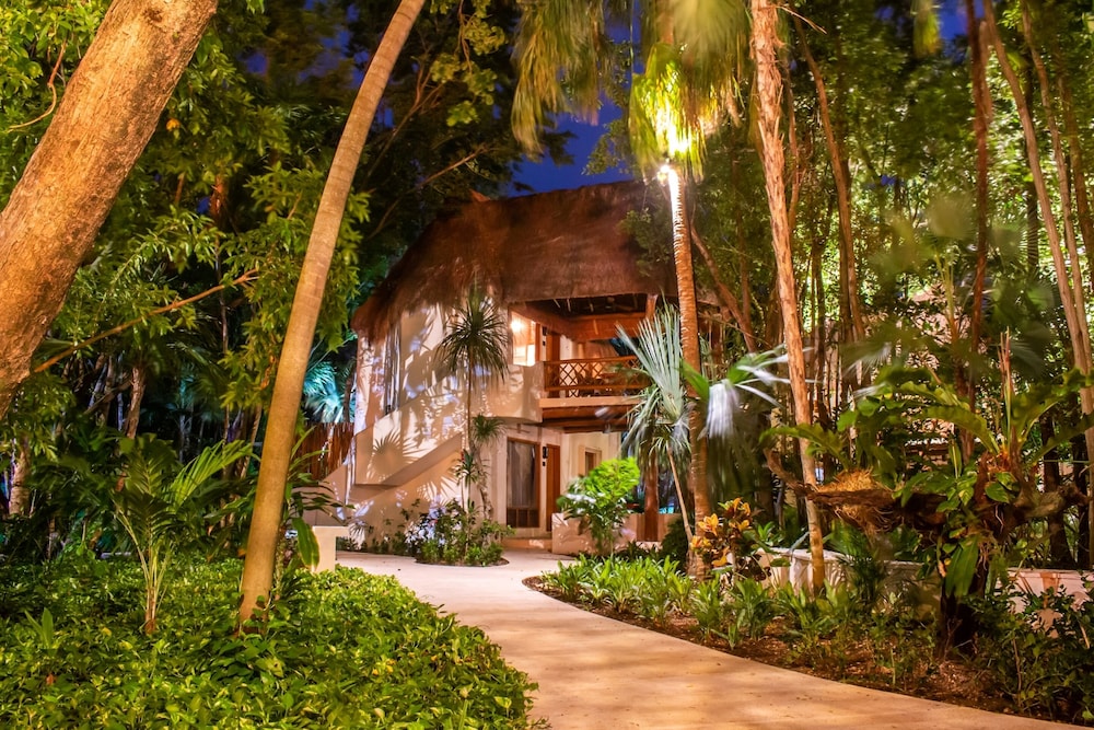 The Oasis Palapa