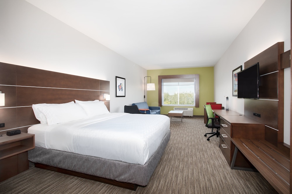 Suite, 1 King Bed, Accessible