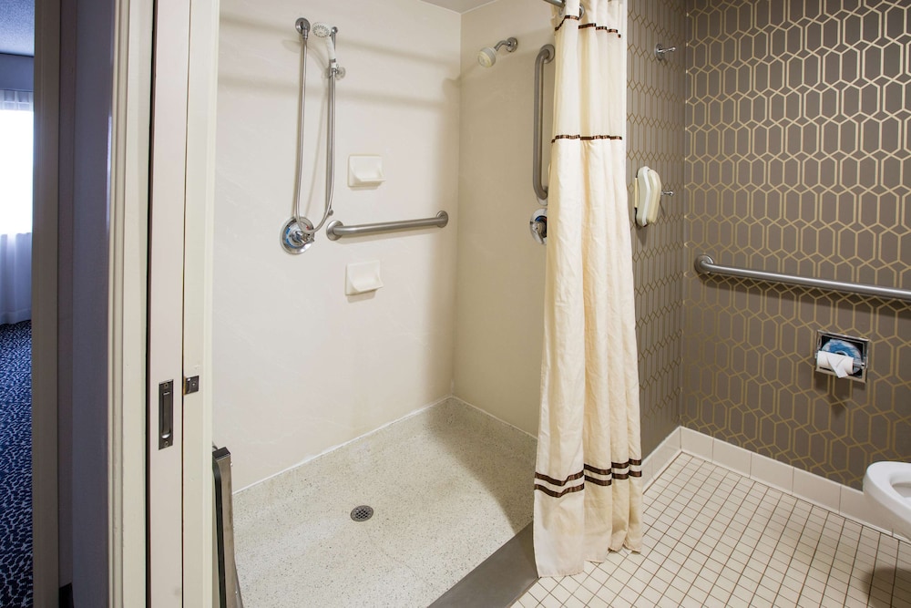 Suite, 1 King Bed, Accessible, Non Smoking (Roll-In Shower) - Photo 5