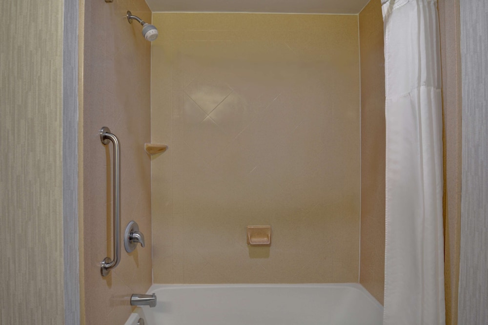 King Studio - Photo 5