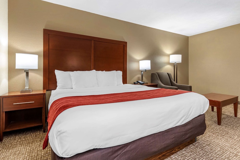 Basic Single Room, 1 King Bed, Non Smoking - Photo 1