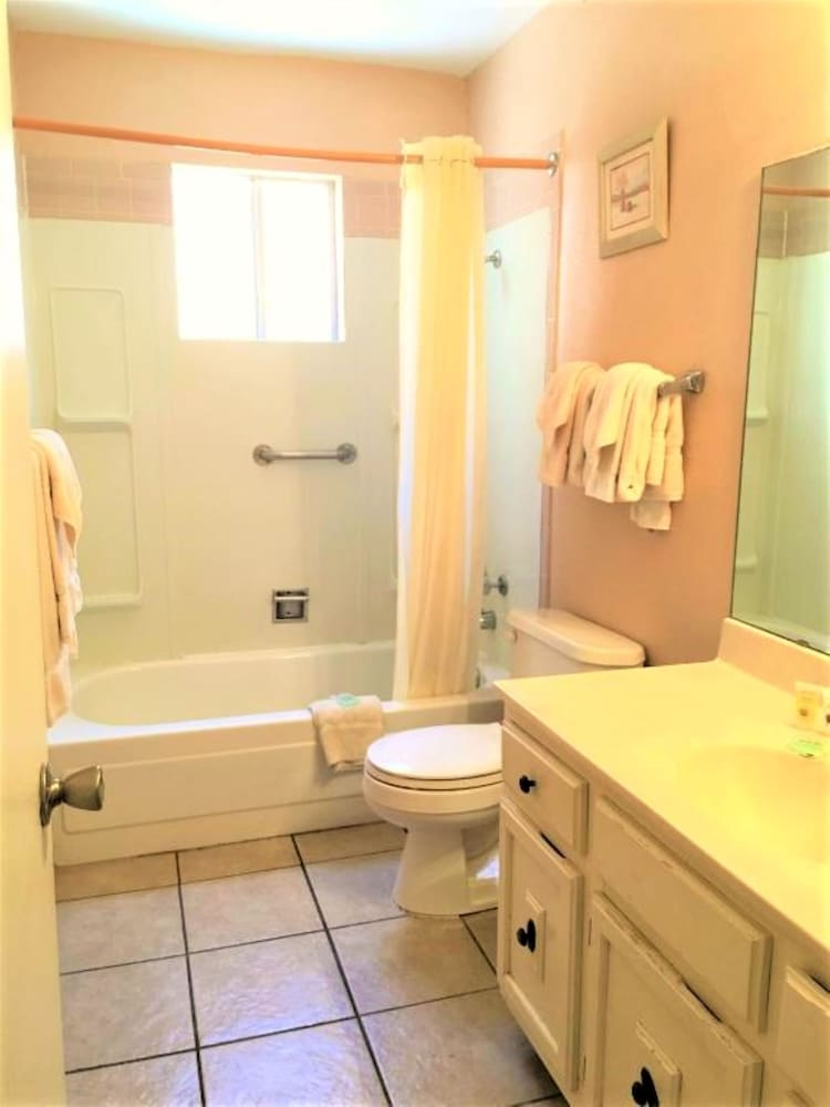 Basic Condo, 1 Bedroom photo 3