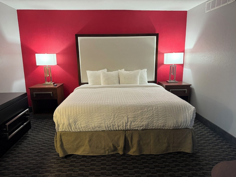 Suite, 1 King Bed