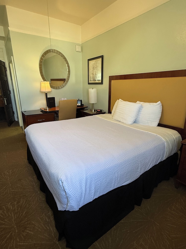 Comfort Single Room photo 3