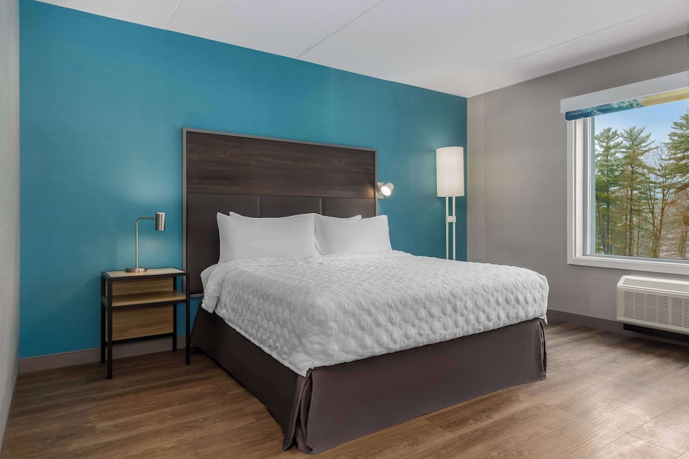 Room, 1 King Bed photo 2