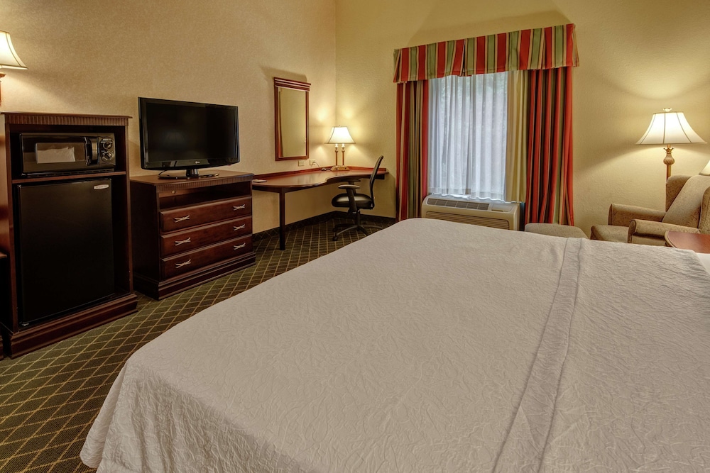 Room, 1 King Bed, Accessible (Roll-In Shower) photo 2