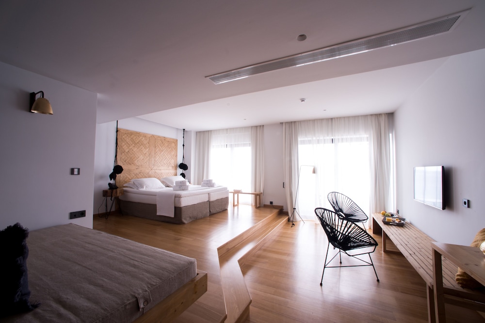 Executive Studio Suite photo 1
