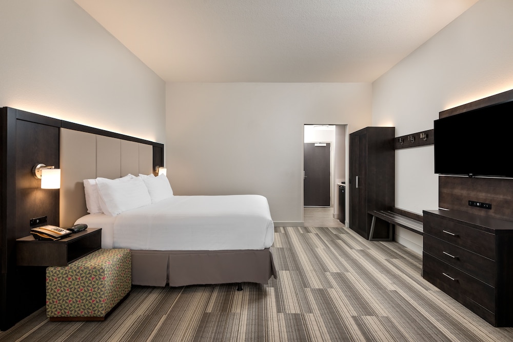 Standard Room, 1 King Bed, Accessible (Communications) - Photo 3