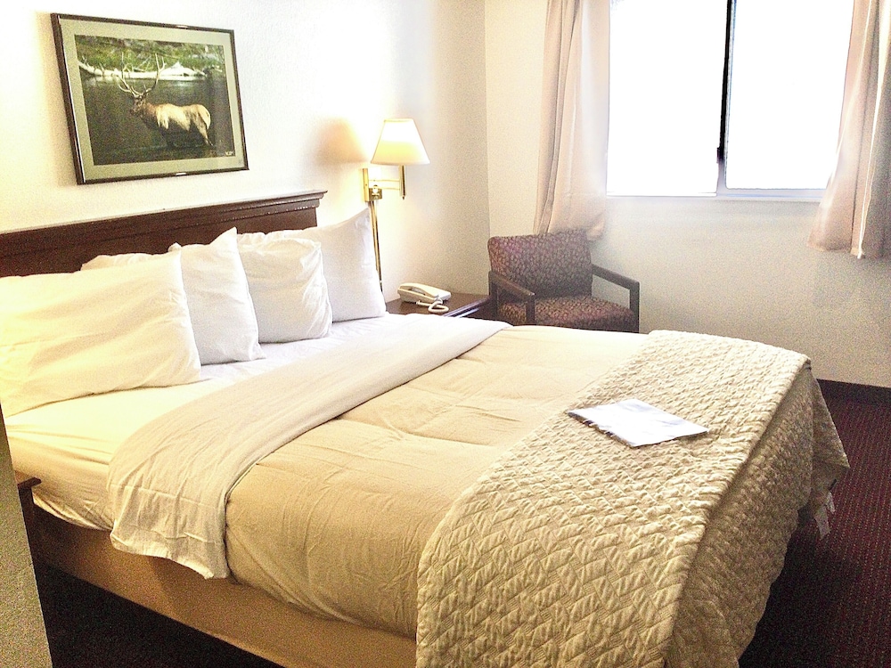 Basic Room photo 1