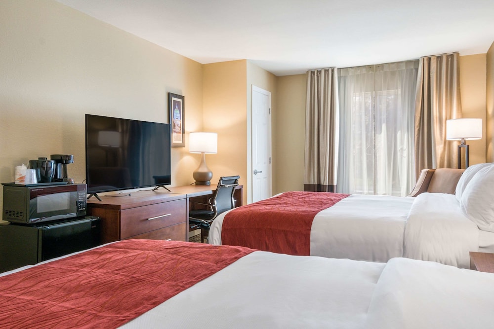 Suite, Multiple Beds, Non Smoking - Photo 4