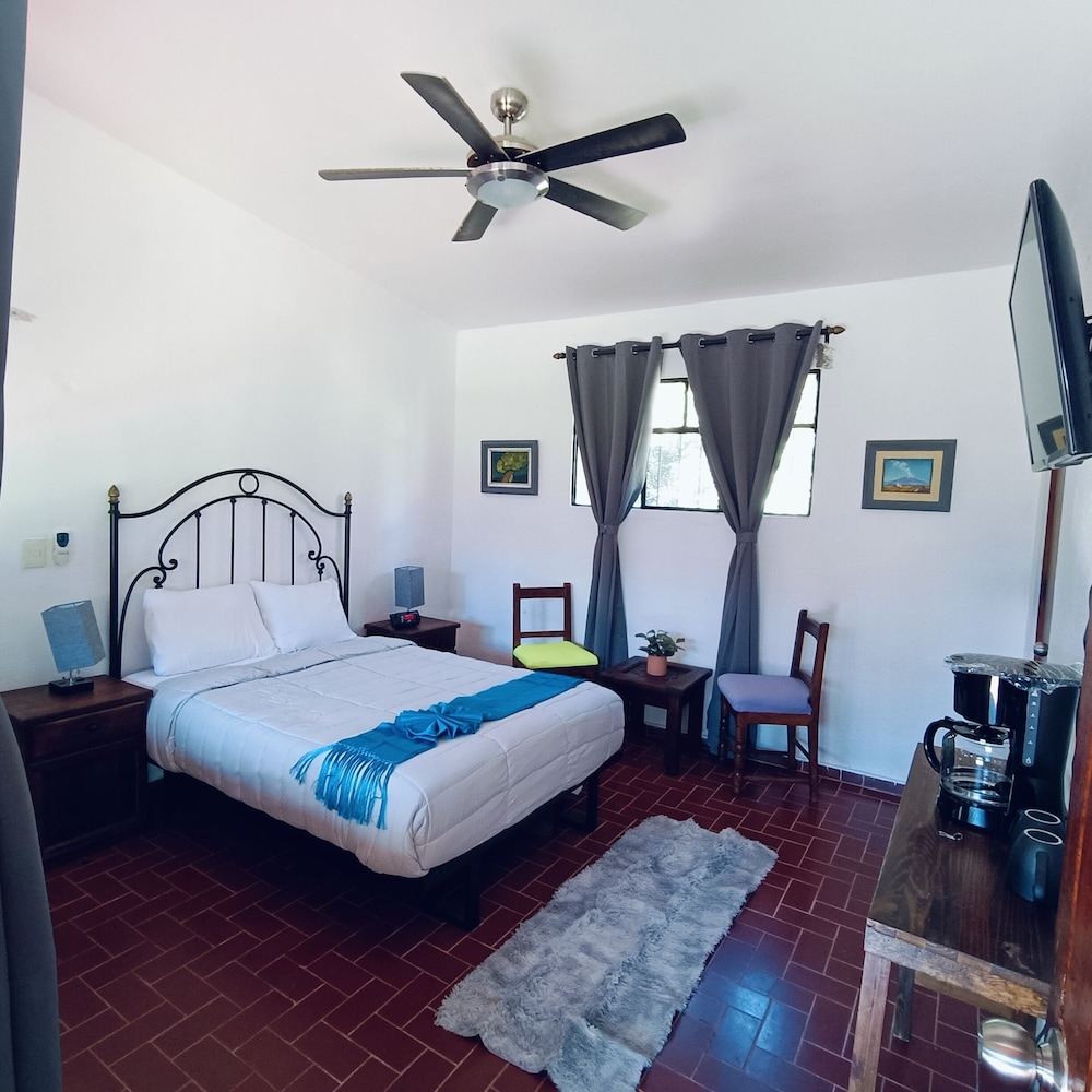 Standard Room, Вид на сад