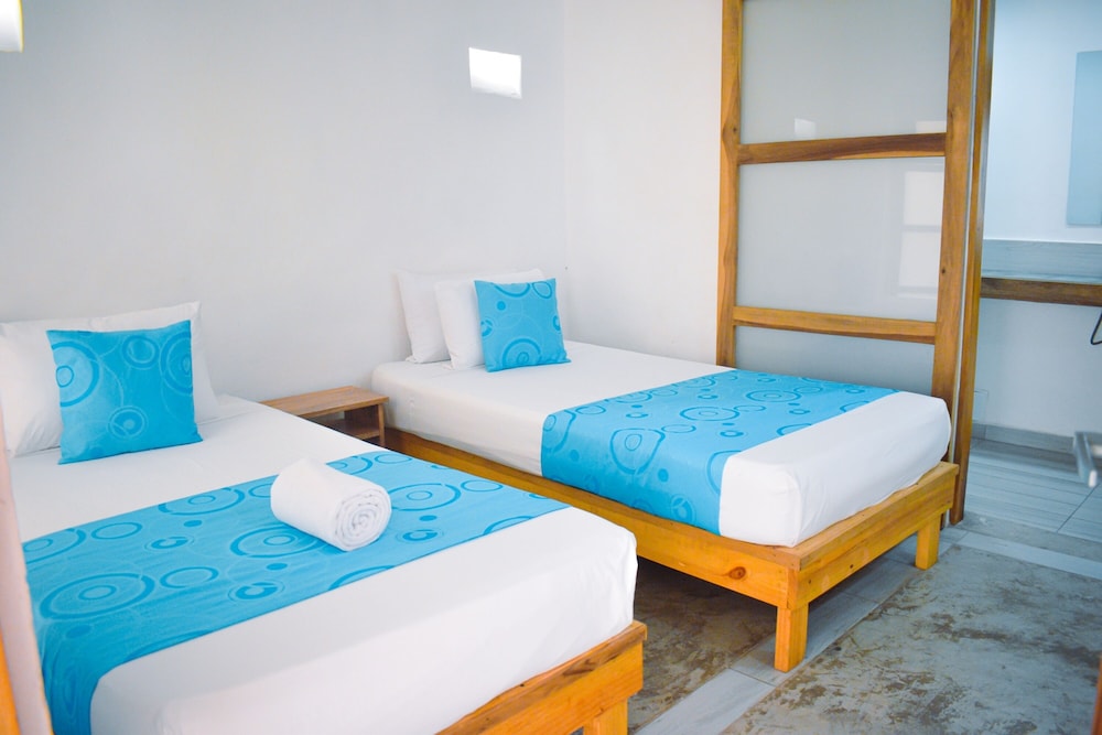 Twin Room photo 1