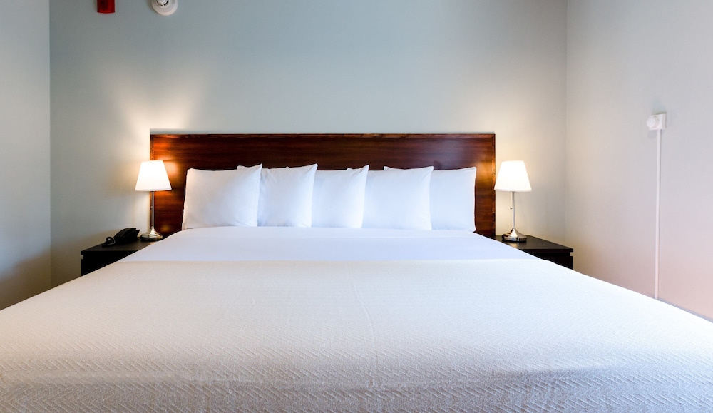 Room, 1 King Bed photo 2