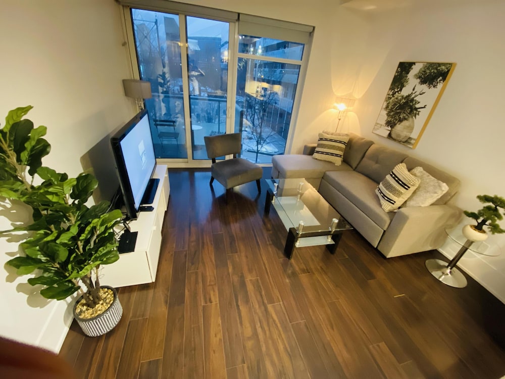 Comfort Apartment, 1 Queen Bed with Sofa bed