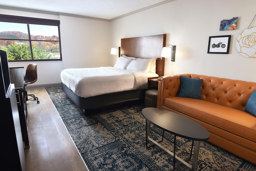 Suite, 1 Bedroom (Mobility/Hearing Access, Roll-in Shwr)