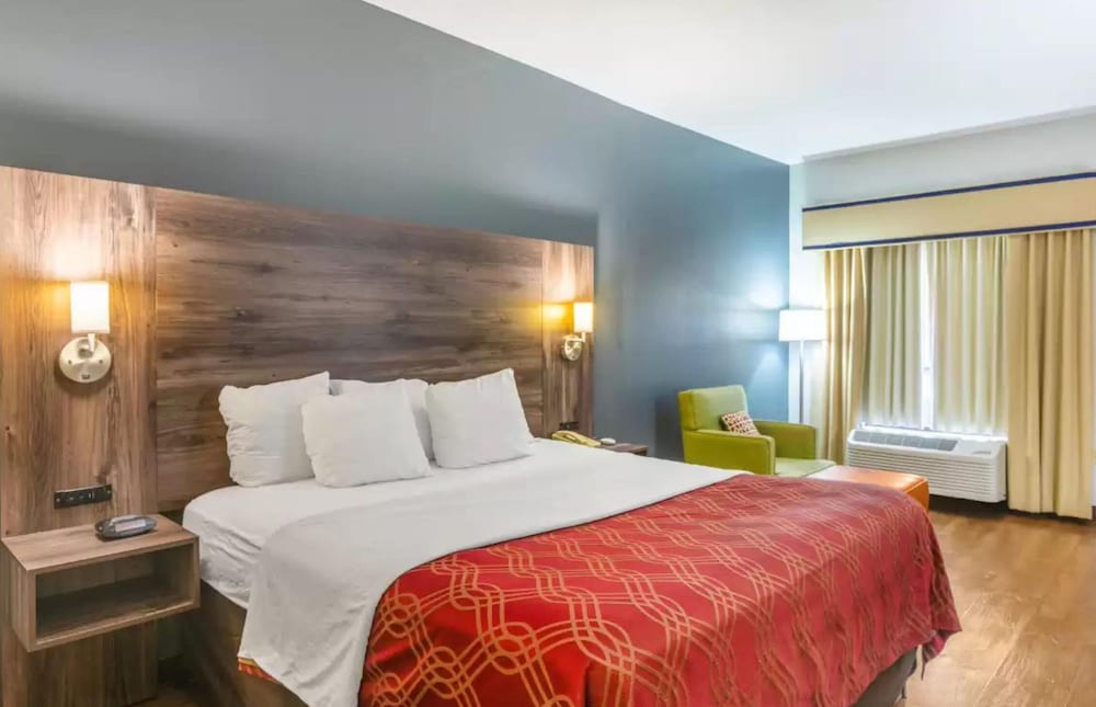 Room, 1 King Bed