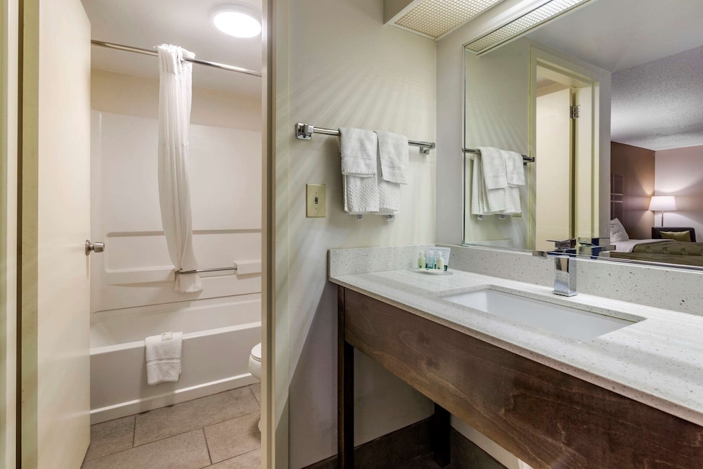 Room, Multiple Beds, Non Smoking - Photo 6