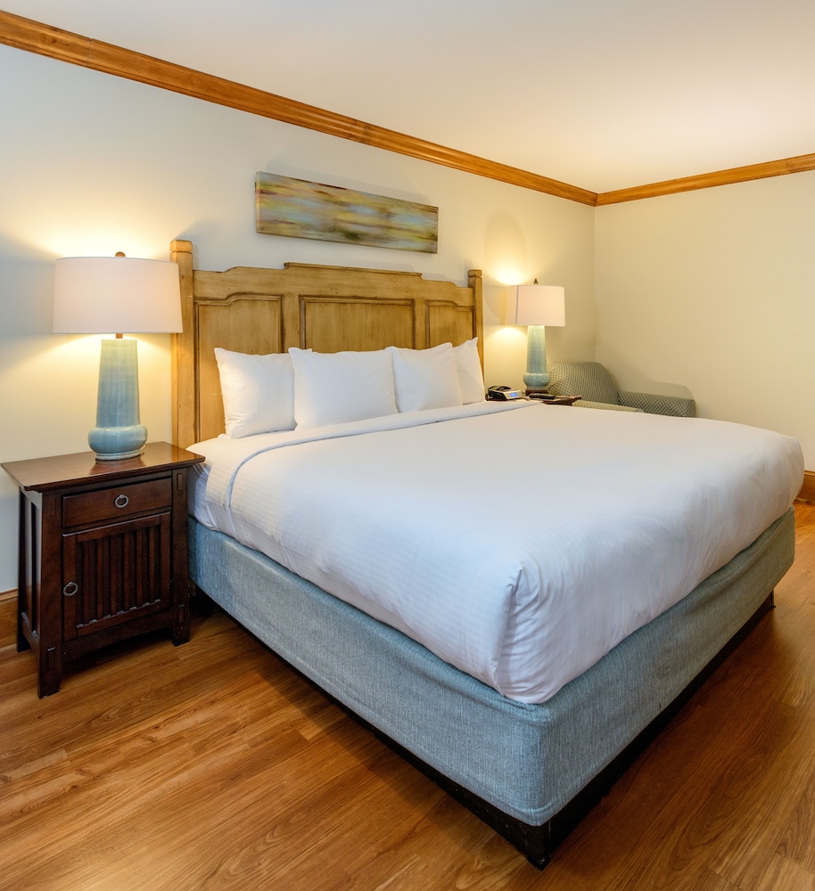 Room, 1 King Bed, Accessible (Lodge)