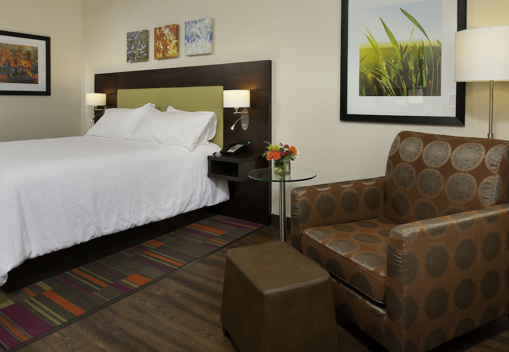 Suite, 1 King Bed, Non Smoking photo 2
