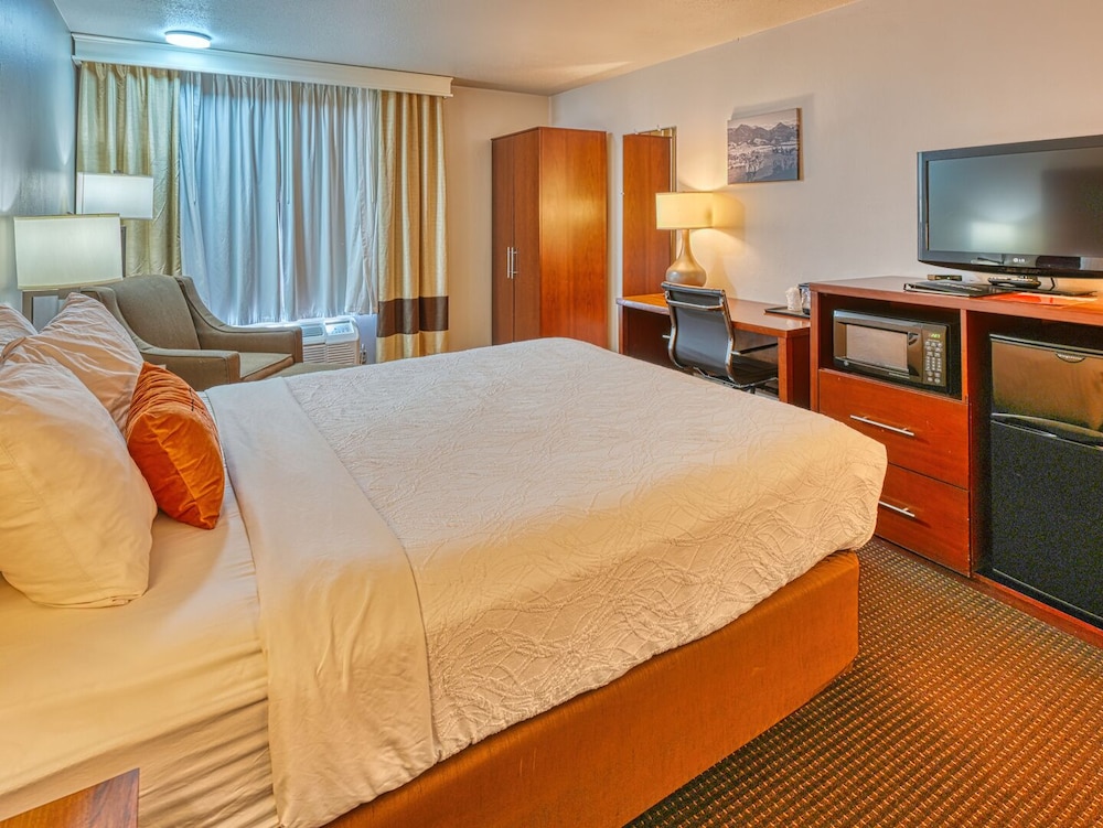 Standard Single Room - Photo 3