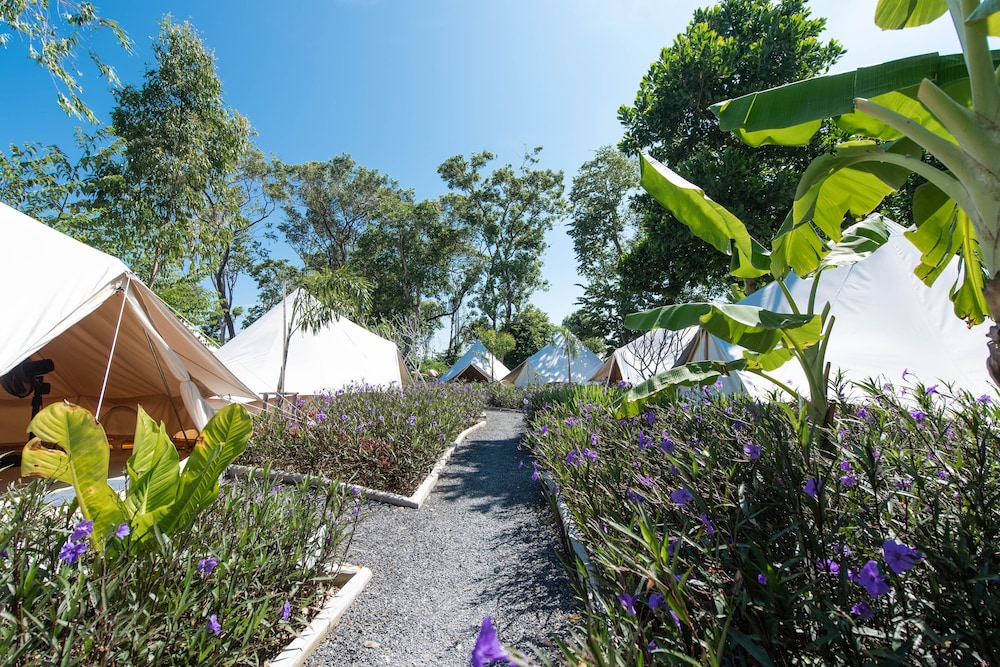 Standard Tent, Shared Bathroom, Garden View photo 3