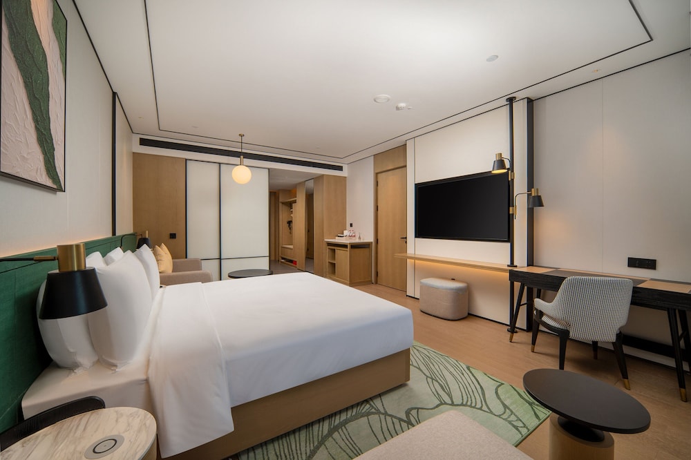 Room, 1 King Bed, Accessible photo 3