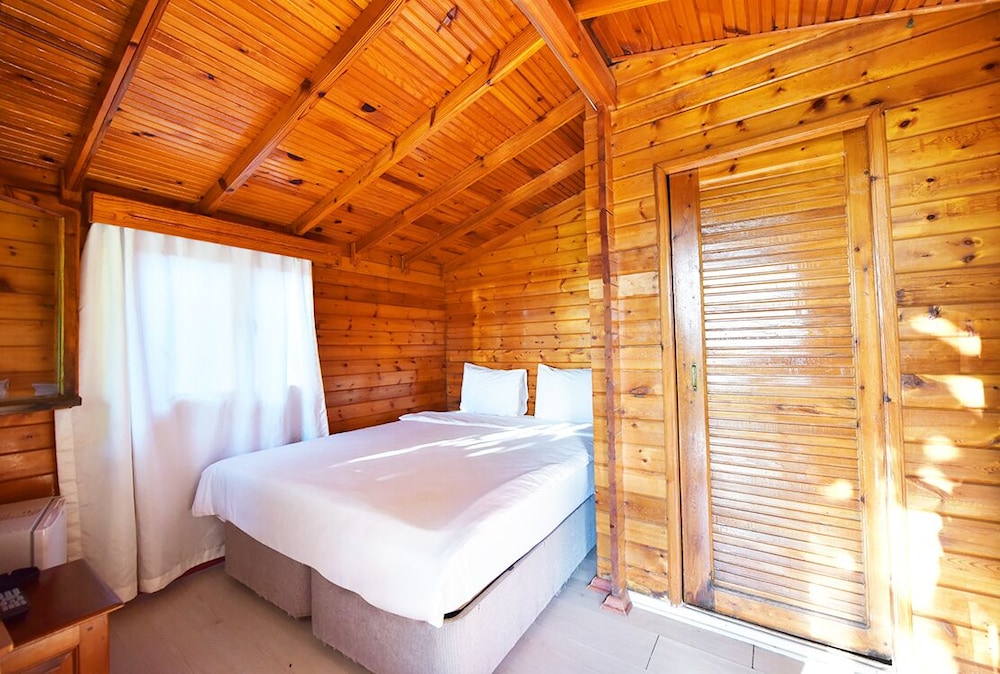 Classic Cabin photo 3