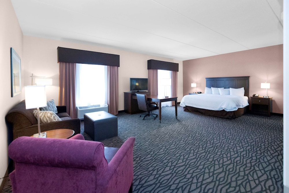 Suite, 1 King Bed, Non Smoking photo 2