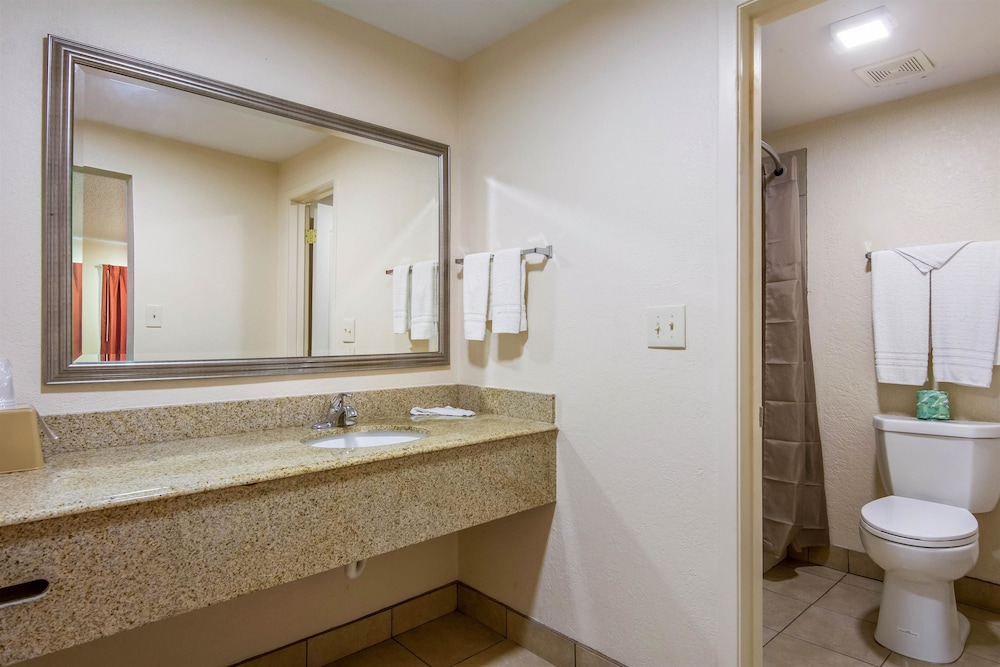 Standard Room, 1 King Bed, Non Smoking, Refrigerator & Microwave - Photo 10