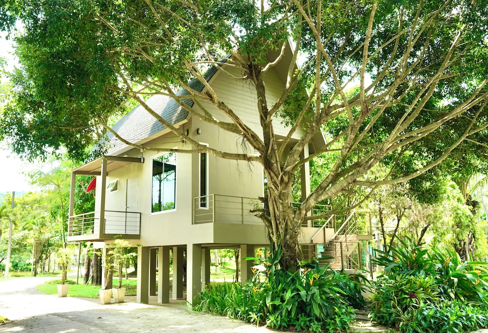 Room, 1 Bedroom, Mountain View