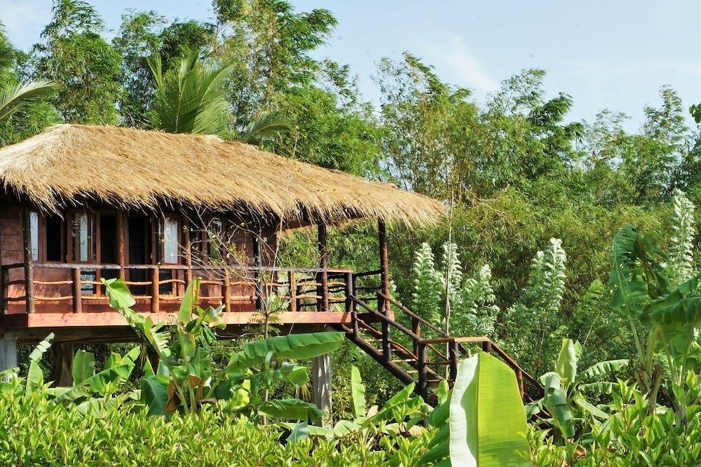 Canopy Treehouse