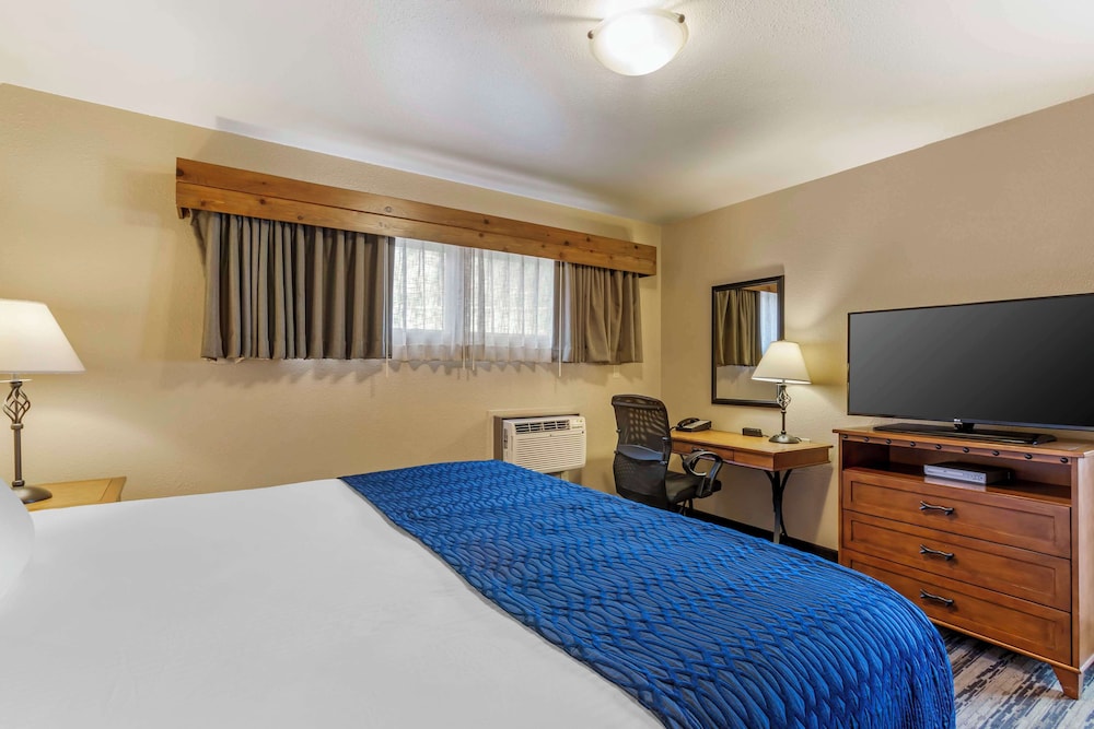 Suite, 1 King Bed, Non Smoking, Microwave (with Sofabed) photo 3