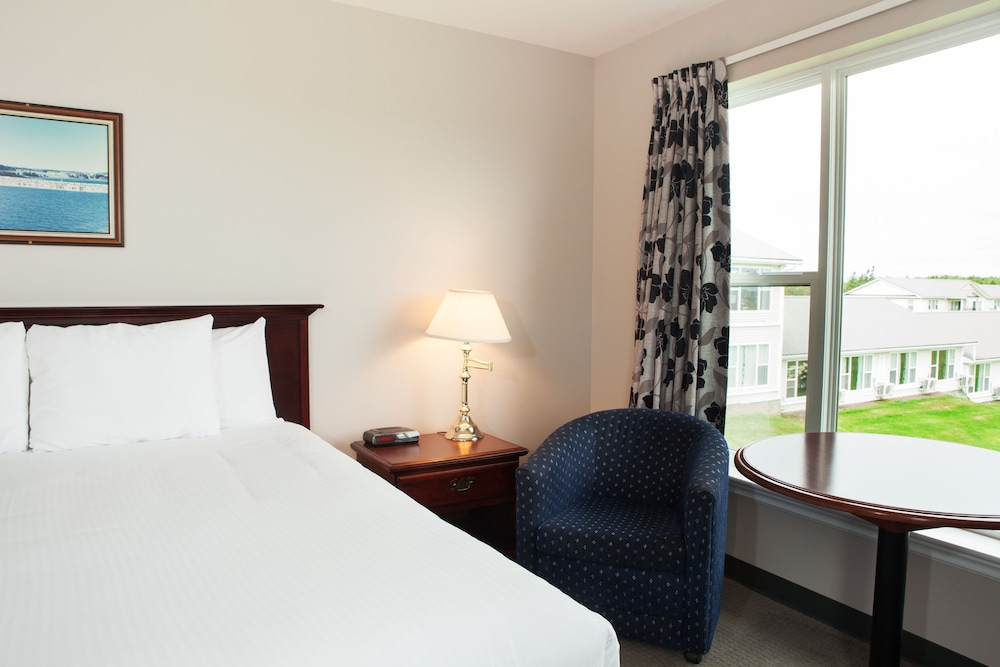 Suite, 1 King Bed photo 2