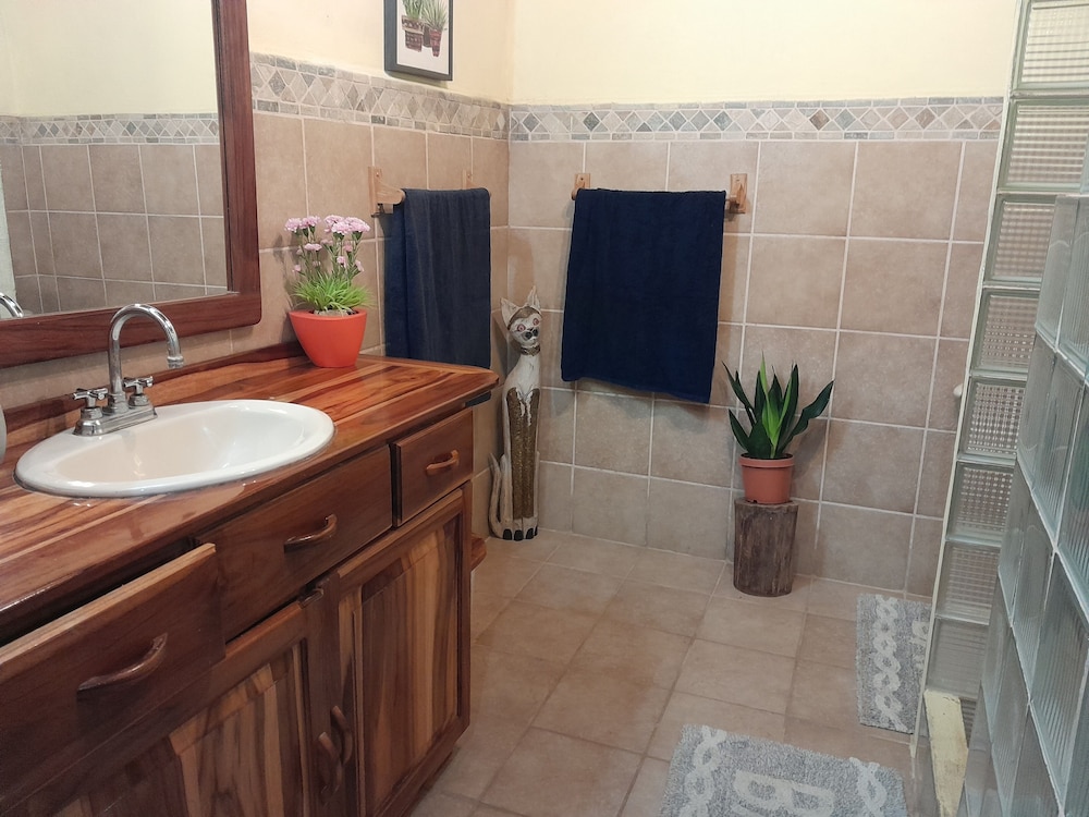 Comfort Suite photo 3