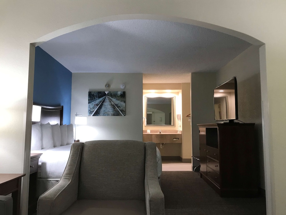 Suite, 1 King Bed, Smoking, Refrigerator & Microwave (with Sofabed)
