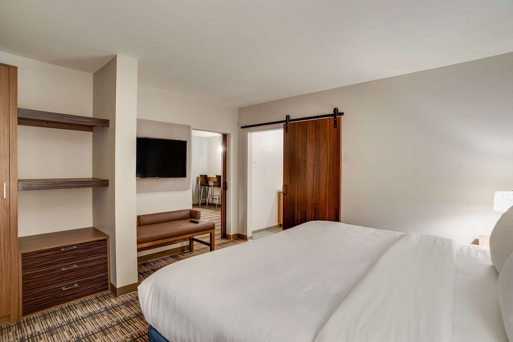 Suite, 1 King Bed with Sofa bed, Accessible, Non Smoking