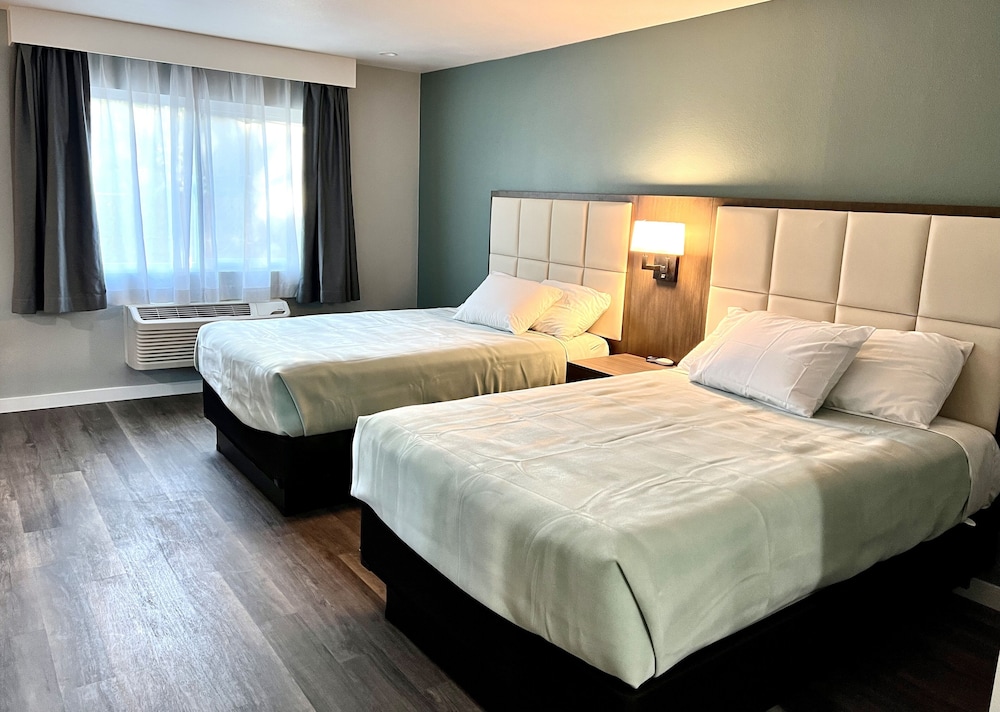 Classic Room, 2 Double Beds photo 1