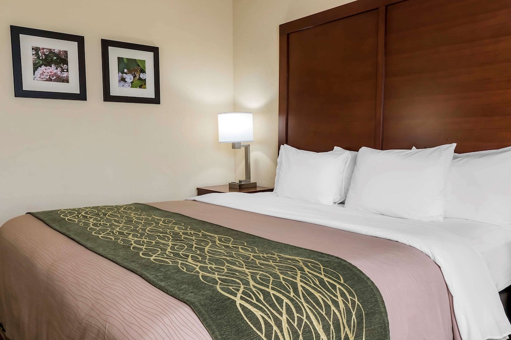 Standard Room, 1 King Bed, Non Smoking - Photo 1
