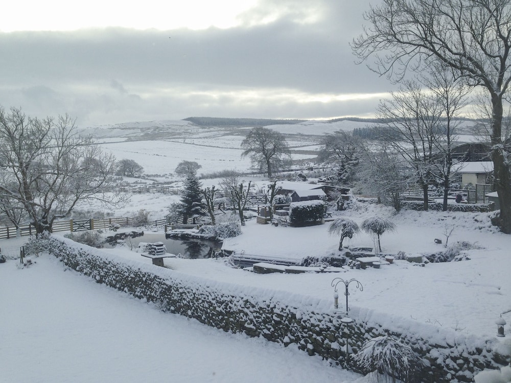 Cottage photo 1