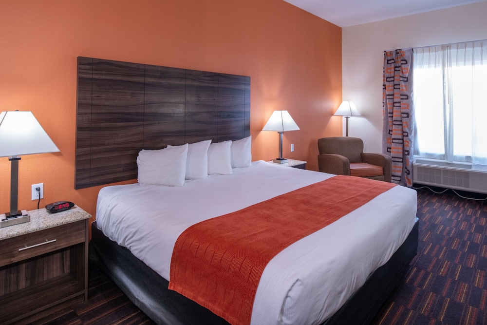 Deluxe Single Room, 1 King Bed, Kitchen