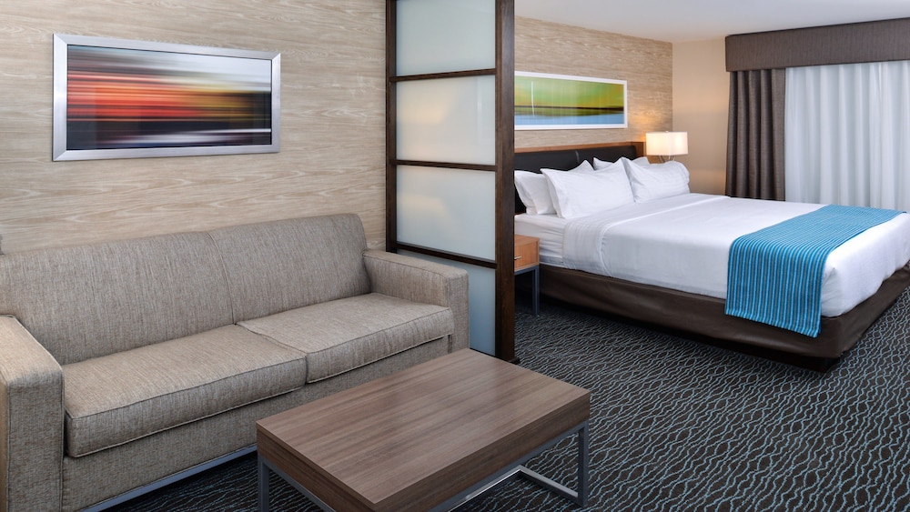 Suite, 1 King Bed (Additional Living Area) photo 3