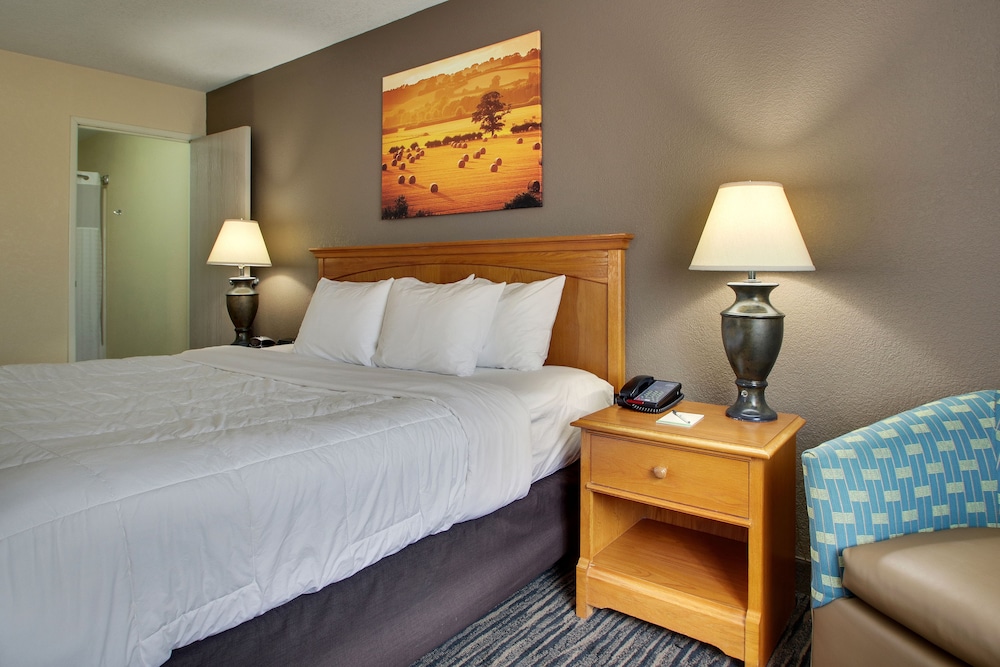 Standard Room, 1 King Bed photo 3