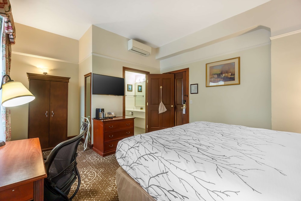Standard Room, 1 King Bed, Non Smoking, City View - Photo 5