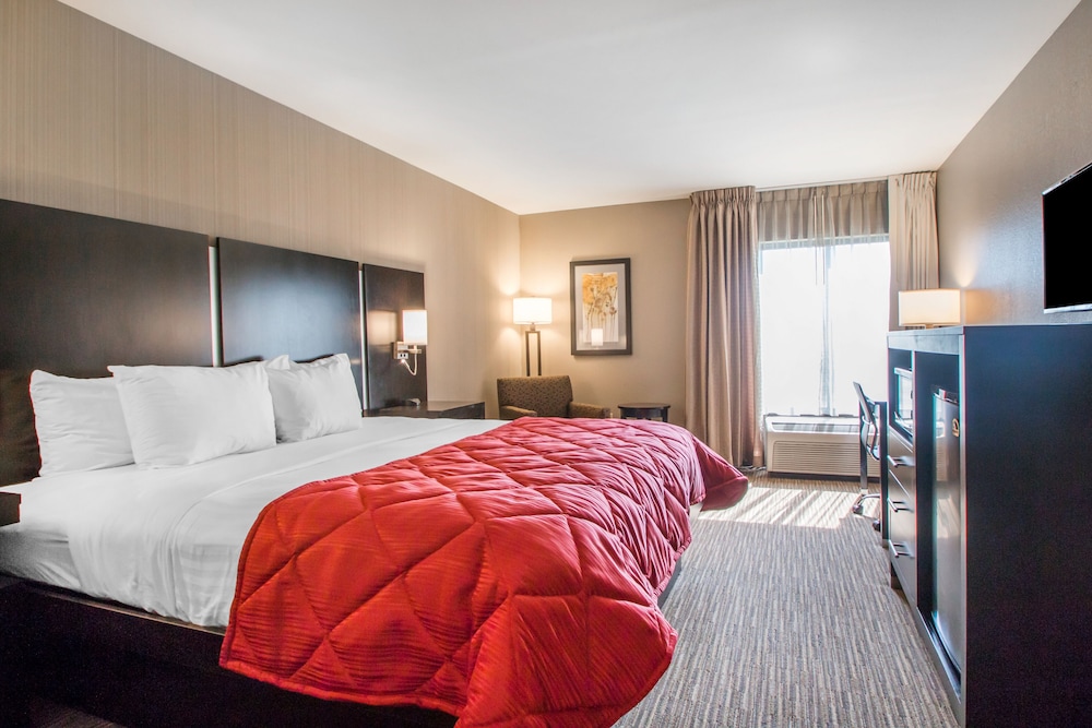 Standard Room, 1 King Bed, Accessible - Photo 4
