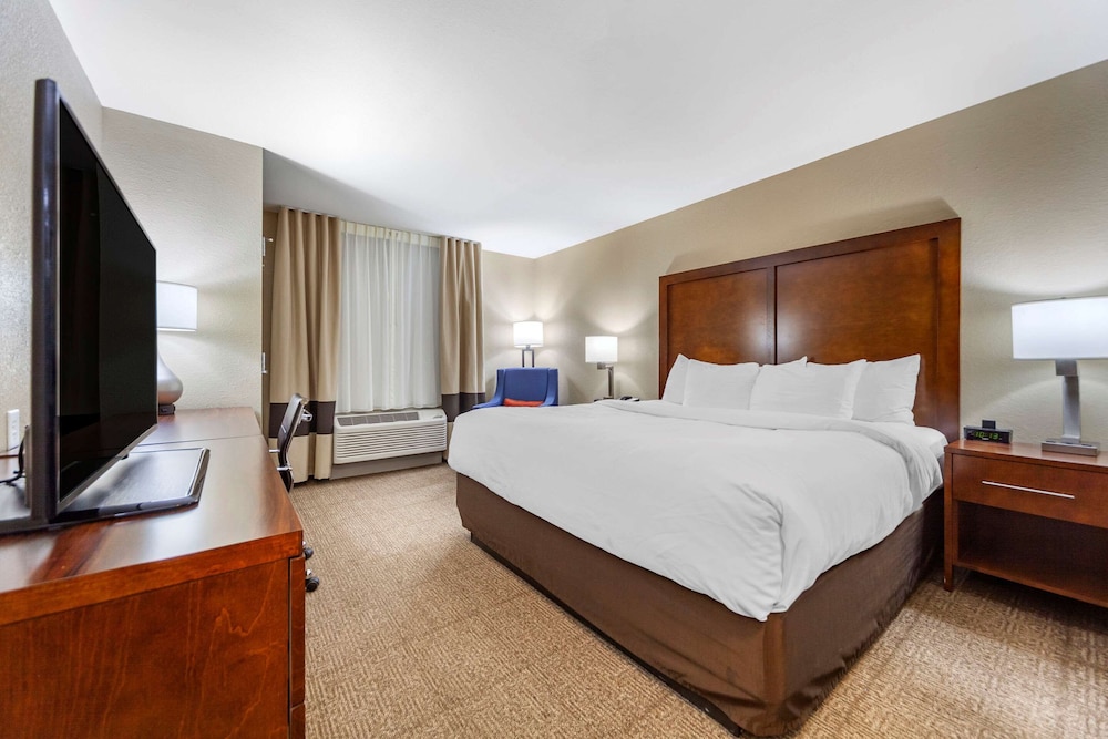 Standard Room, 1 King Bed, Non Smoking (Pet Friendly) photo 1