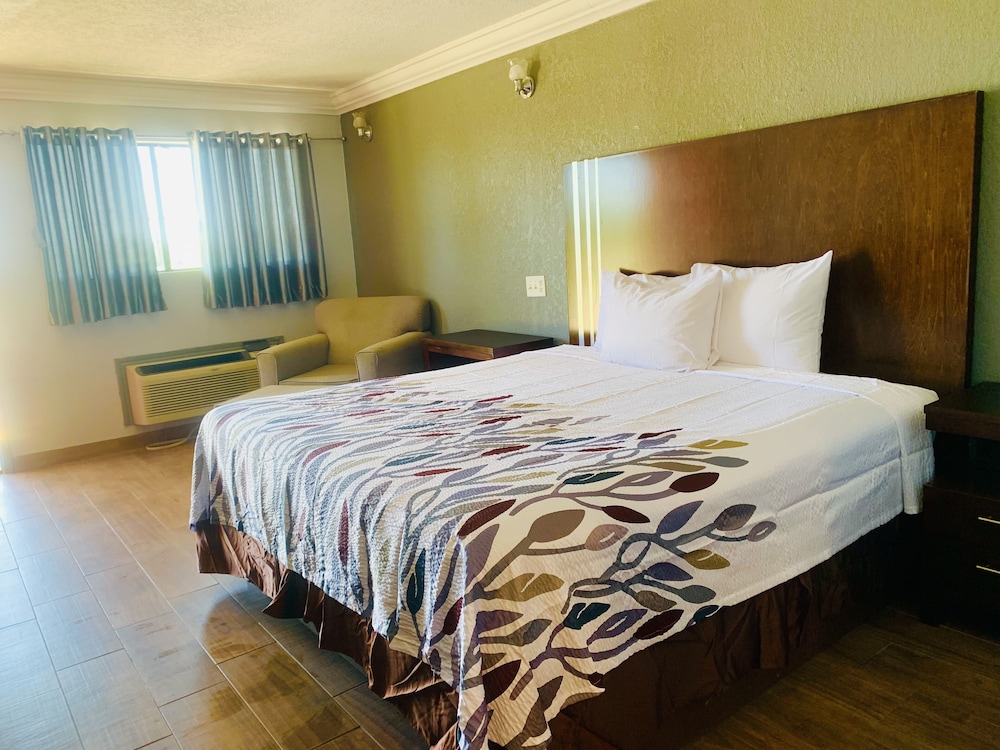 Room, 1 King Bed photo 2
