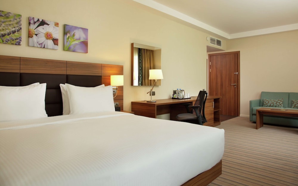Room, 1 King Bed, Accessible photo 2